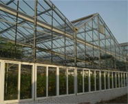 大跨度玻璃温室